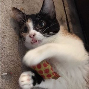 Meet your Posher, Natalie